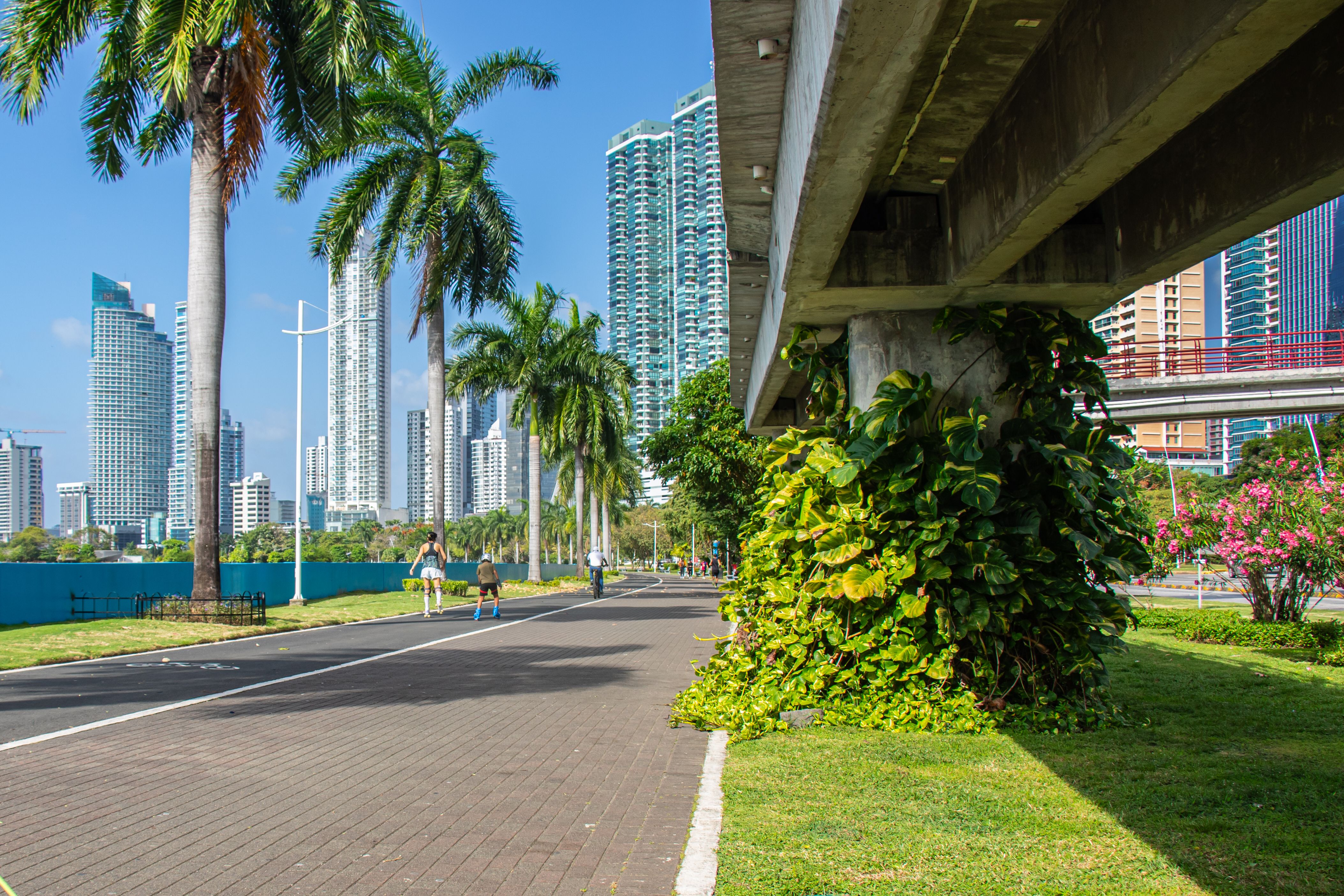 Panama City skyline with modern towers where a $2,000-a-month budget works in walkable neighborhoods