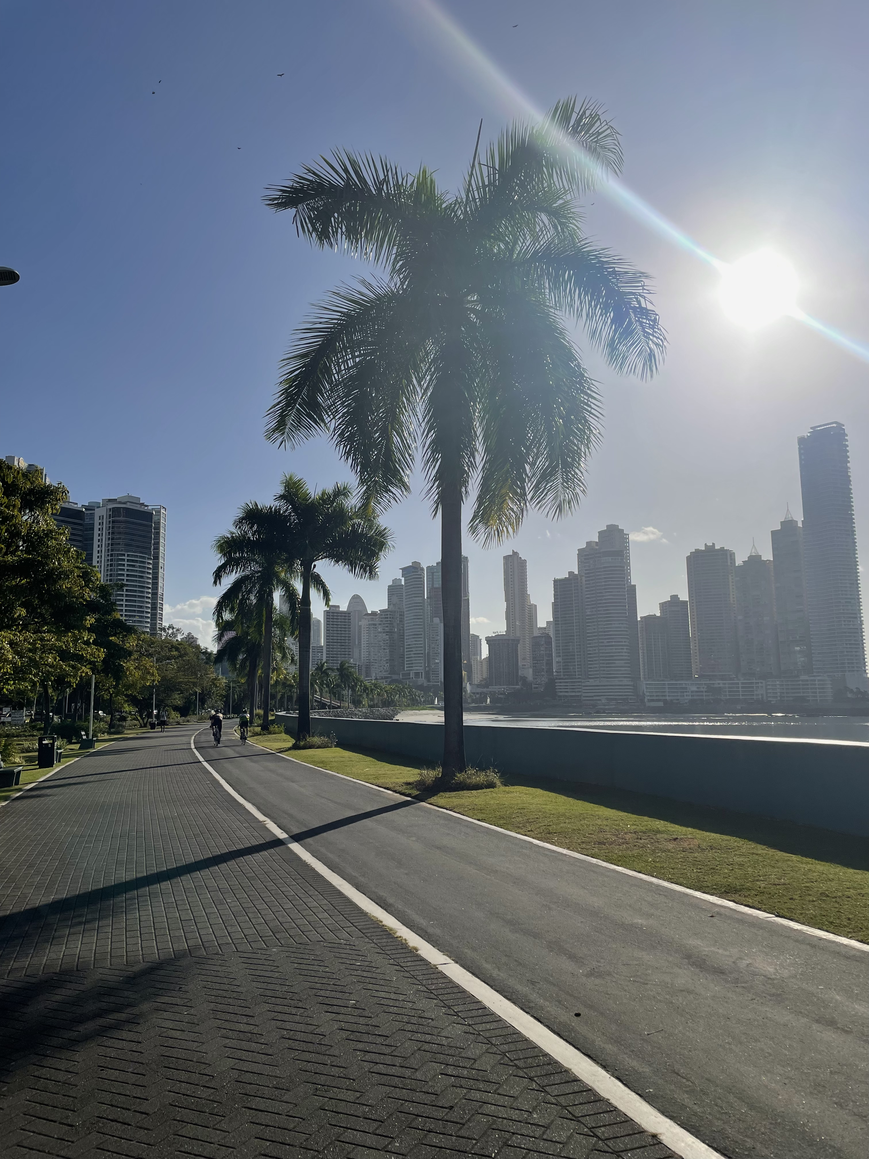 The Panama City skyline seen from the Cinta Costera waterfront path at golden hour — the view that defines the city's most recognizable neighborhoods