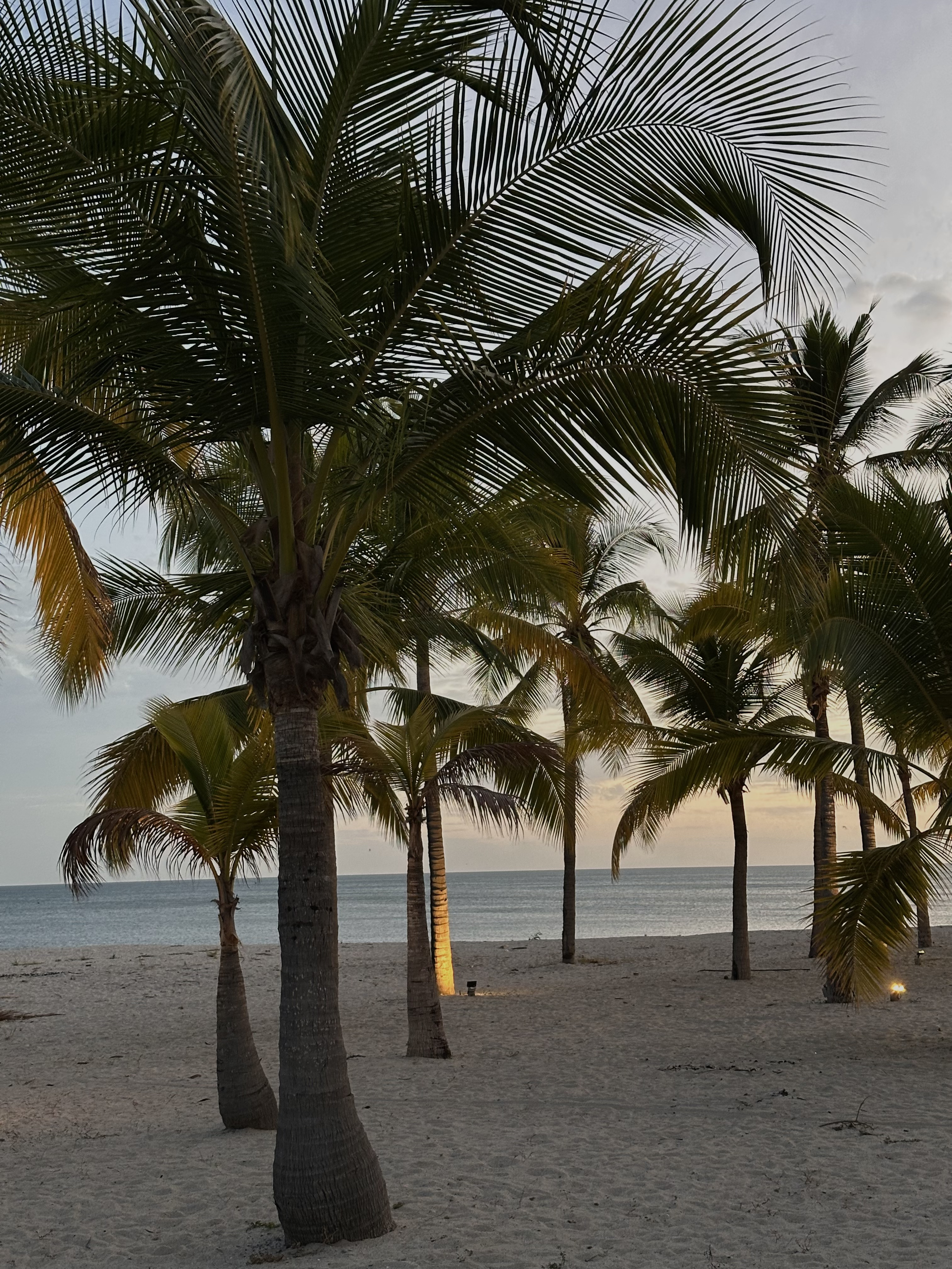 A quiet stretch of Panama coastline glowing at golden hour — the beach-living ideal that everyday reality has to be measured against