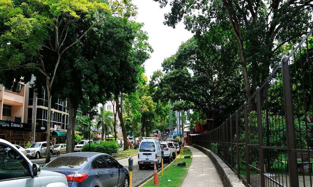 Tree-lined streets and sidewalk cafés in El Cangrejo, the most genuinely walkable neighborhood in Panama City